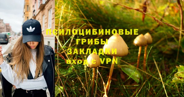 герыч Краснослободск