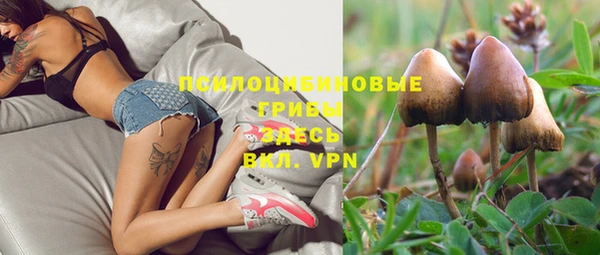 МДПВ Коряжма