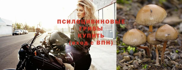 МДПВ Коряжма