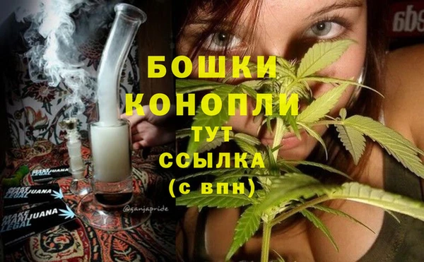 мдпв Корсаков